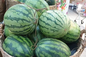 Điều gì xảy ra nếu ăn quá nhiều dưa hấu?