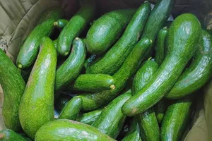 Những loại thực phẩm nên ăn để giúp làn da đẹp và khỏe mạnh