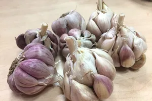 Điều gì xảy ra cho cơ thể nếu ăn quá nhiều tỏi?