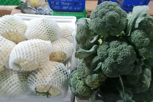 Cách kiểm soát tốt lượng cholesterol trong máu cho nam giới