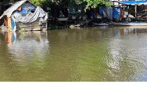 TP.HCM có 32 điểm sạt lở nguy hiểm và đặc biệt nguy hiểm