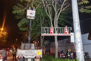 TP.HCM thử nghiệm cắt tỉa cây vào ban đêm để giảm kẹt xe