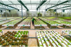 Bình Chánh: Lập quỹ để phát triển nhiều lĩnh vực trên địa bàn