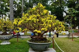 Chiêm ngưỡng những tác phẩm đặc sắc ở hội hoa xuân 2023 tại TP.HCM