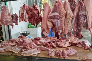 TP.HCM xử lý nghiêm các trường hợp sử dụng chất cấm trong chăn nuôi