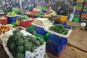 TP.HCM đặt mục tiêu tất cả thực phẩm được sản xuất trên địa bàn phải an toàn