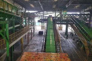 Nhiều dự án đốt rác phát điện đang 'giậm chân tại chỗ' 