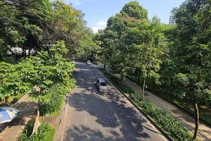 TP.HCM rà soát quỹ đất để phát triển công viên