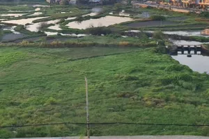 TP.HCM sẽ xử lý các trường hợp tự tách thửa sai quy định