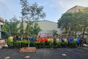 Mỗi cán bộ phải trồng một cây xanh hoặc tạo một mảng xanh 