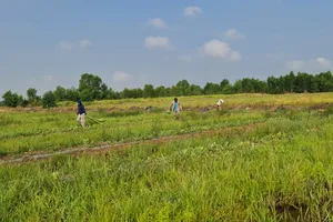 Xâm nhập mặn ở Nam bộ cao hơn trung bình nhiều năm