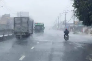 TP.HCM thí điểm xử phạt doanh nghiệp không đóng quỹ phòng, chống thiên tai