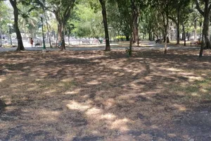 Công viên 23-9 xơ xác, UBND TP.HCM chỉ đạo xử lý gấp 