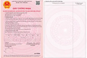 Quy định mới về cấp sổ hồng cho hộ gia đình từ 1-8