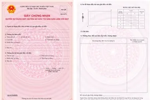 Khi nào mẫu sổ hồng mới được chính thức sử dụng?