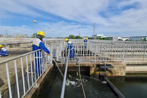 Nước từ nhà máy xử lý nước thải lớn nhất Việt Nam có thể nuôi cá Koi 