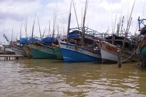 Tình hình biển khu vực Nam Bộ ra sao trong ngày bão Yagi đổ bộ?