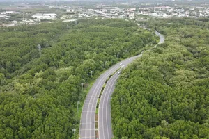 TP.HCM triển khai nhiều giải pháp để phát triển khu sinh quyển Cần Giờ