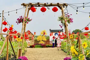 Độc đáo trang trí hội hoa xuân từ 1.000 cây bắp và 1.000 cây hoa hướng dương