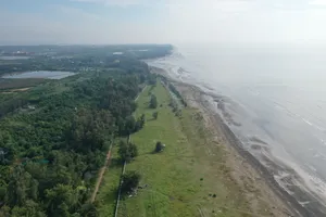 TP.HCM phê duyệt dự án lấn biển Cần Giờ, tổng mức đầu tư hơn 64 ngàn tỉ đồng