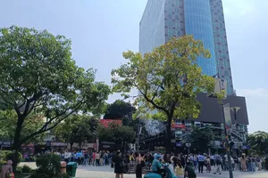 Nhiều người dân ở TP.HCM 'tháo chạy' vì rung lắc như động đất