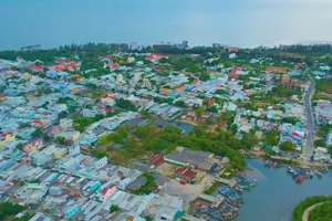 Mục tiêu năm 2025 huyện Cần Giờ sẽ trồng 70 ha rừng 