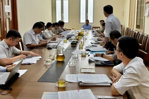 TP.HCM tiếp tục gỡ vướng để cấp sổ hồng cho 6 dự án