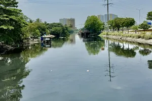 Hết năm nay, TP.HCM bồi thường, di dời gần 5.550 căn nhà ven kênh