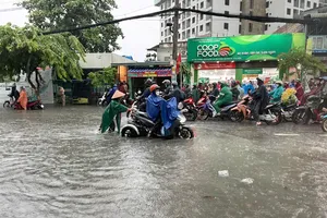 TP.HCM giải quyết 19 điểm ngập thường xuyên bằng cách nào?