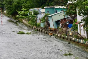 TP.HCM triển khai nhiều dự án kè sông để chống sạt lở