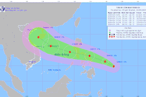 TP.HCM chuẩn bị ứng phó với bão số 10