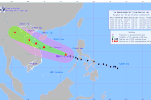 TP.HCM và các tỉnh Nam Bộ bị ảnh hưởng bởi cơn bão số 10 ra sao?