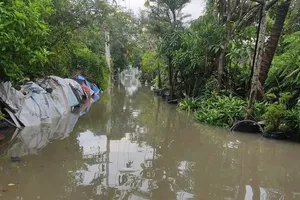 Đợt triều cường cuối tháng 10 ở TP.HCM gây ảnh hưởng ra sao?