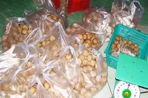 Phạt chủ cơ sở làm bò viên bằng thịt heo thối