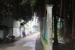 Phải hoàn thành tái lập mặt đường trong tháng 12-2016