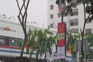 Nhóm người bí ẩn cắt trụi hàng cây ở đường Trường Sơn