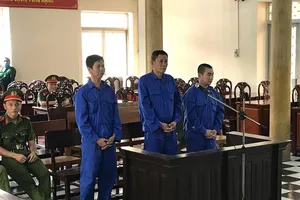 Video: Viện Tối cao hướng dẫn các tội liên quan COVID-19