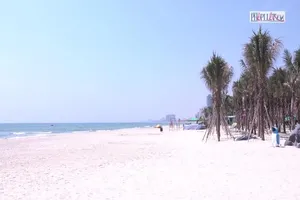 Video: Bãi biển Đà Nẵng ra sao sau lệnh cấm?