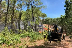 Video: Thừa Thiên - Huế lập sở chỉ huy tiền phương ứng phó vụ cháy rừng