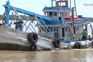 Video: Bắt tàu cá vận chuyển 40.000 lít dầu DO không rõ nguồn gốc