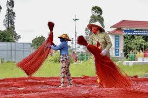 Đồng Tháp khôi phục chợ chiếu đêm bằng tour du lịch ‘chợ ma Định Yên’ 