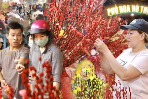 Chợ hoa Hồ Thị Kỷ nhộn nhịp về đêm 