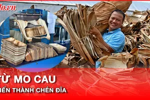Video: Biến mo cau thành chén dĩa xuất khẩu 