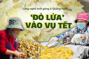 Làng nghề mứt gừng nức tiếng Quảng Ngãi đỏ lửa vào vụ tết