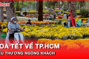 Hoa Tết các loại 'đủng đỉnh' về TP.HCM, tiểu thương ngóng khách ngày cuối năm