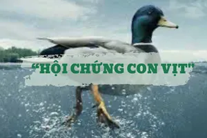 Hội chứng con vịt: Áp lực giấu kín sau vẻ ngoài hoàn hảo