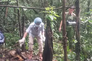 Phát hiện bộ hài cốt trong rừng nghi là đối tượng truy nã 