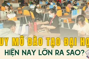 Infographic: Quy mô đào tạo đại học trên cả nước hiện nay lớn ra sao?