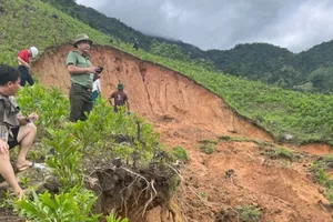 Núi Wang Với lại xuất hiện vết nứt, người dân Quảng Ngãi thấp thỏm lo sạt lở