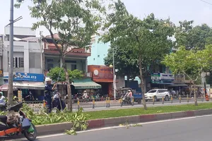 Xử lý sự cố cây xanh trong mùa mưa như thế nào?